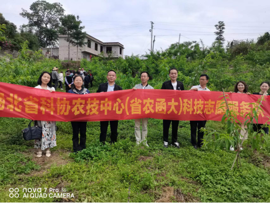 1685427674312054459.png image.png