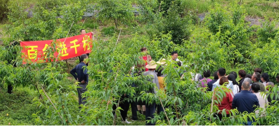 1685427700163041094.png image.png