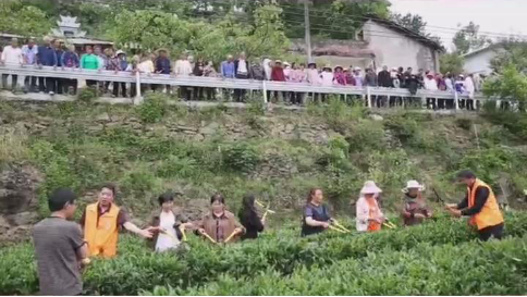 1685428058399088175.png image.png