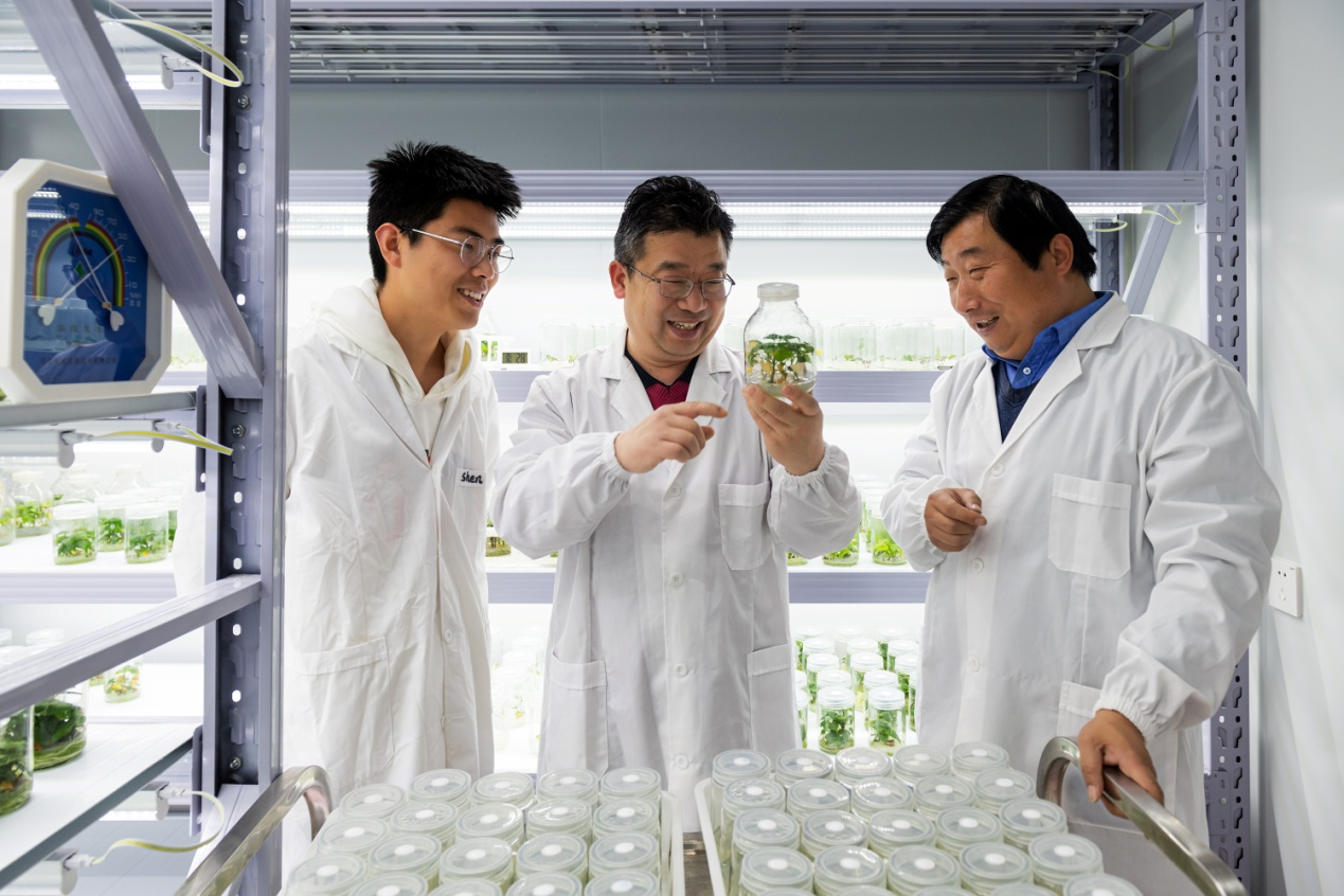 1685520169503093880.png 圖片2.png