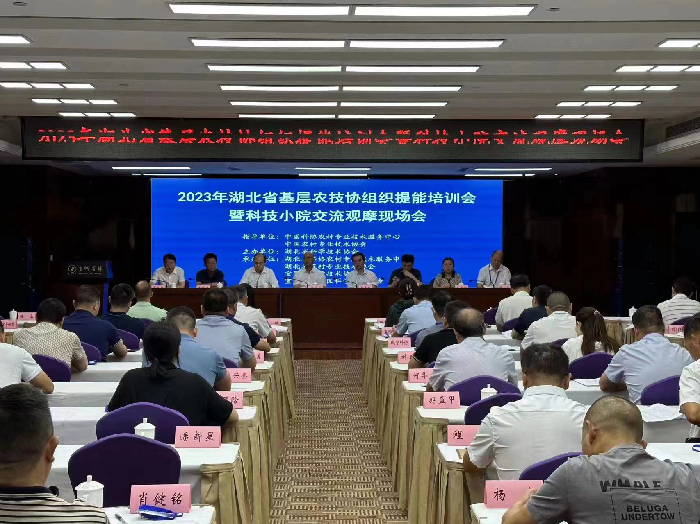 1691744012058002411.png 圖片1.png