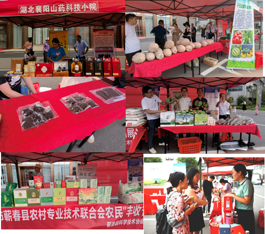 1694499745169030001.png 1694499745169030001.png