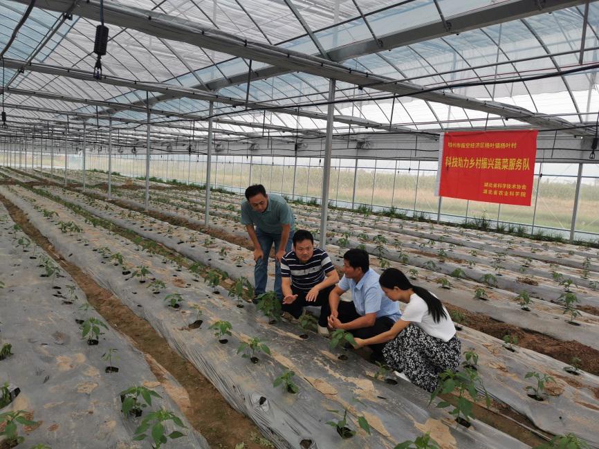 1707185437531077283.jpg 1707185437531077283.jpg