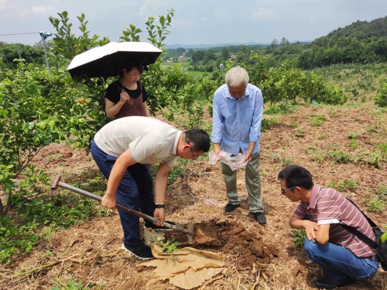 1707185932740025568.jpg 1707185932740025568.jpg