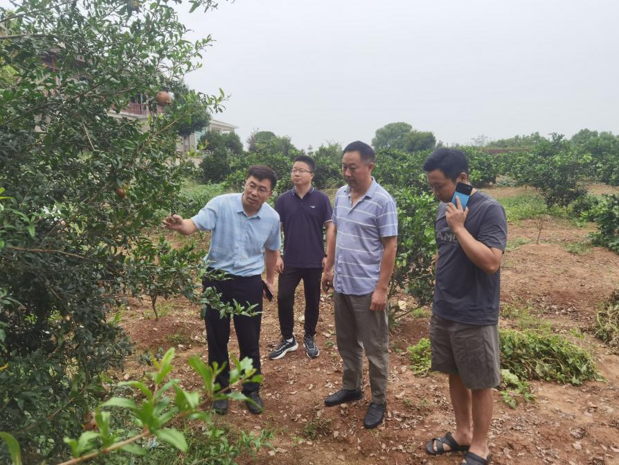 1707186014228024104.jpg 1707186014228024104.jpg