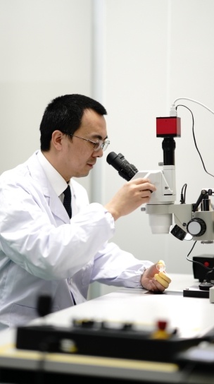 1708219106648092771.jpg 1708219106648092771.jpg