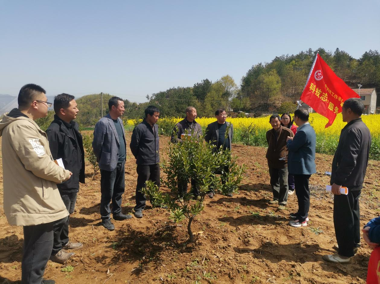 1711704114489088127.png 圖片8.png