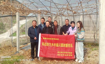 1712113544459023841.png image.png