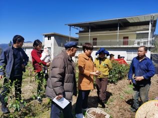 1712113607558002596.png image.png