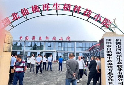 1714374032283025599.png image.png