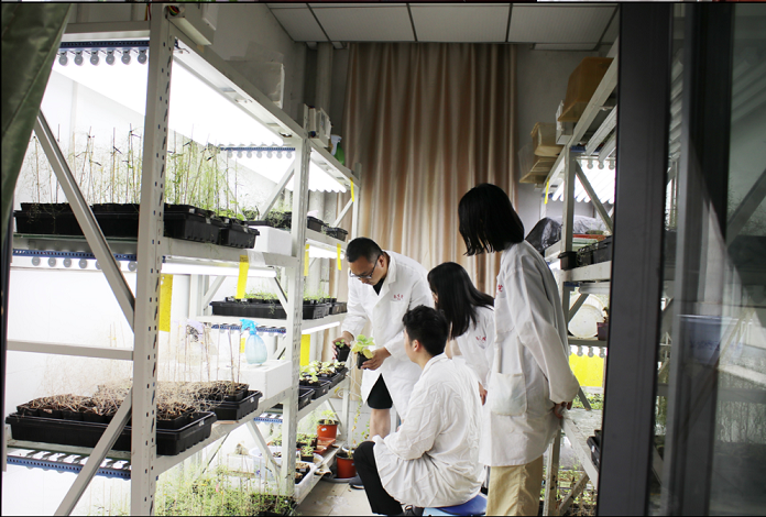 1716277815853093734.png 1712110108617007575.png