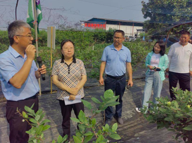 1716949305694001171.png image.png