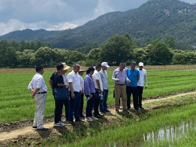 1717035072978079432.png image.png