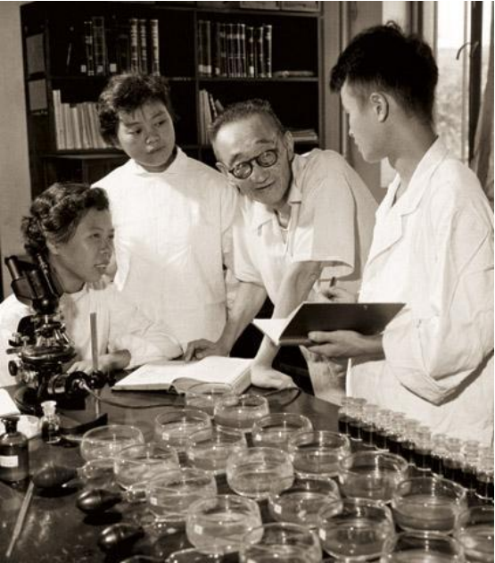 1724751165682042279.png image.png