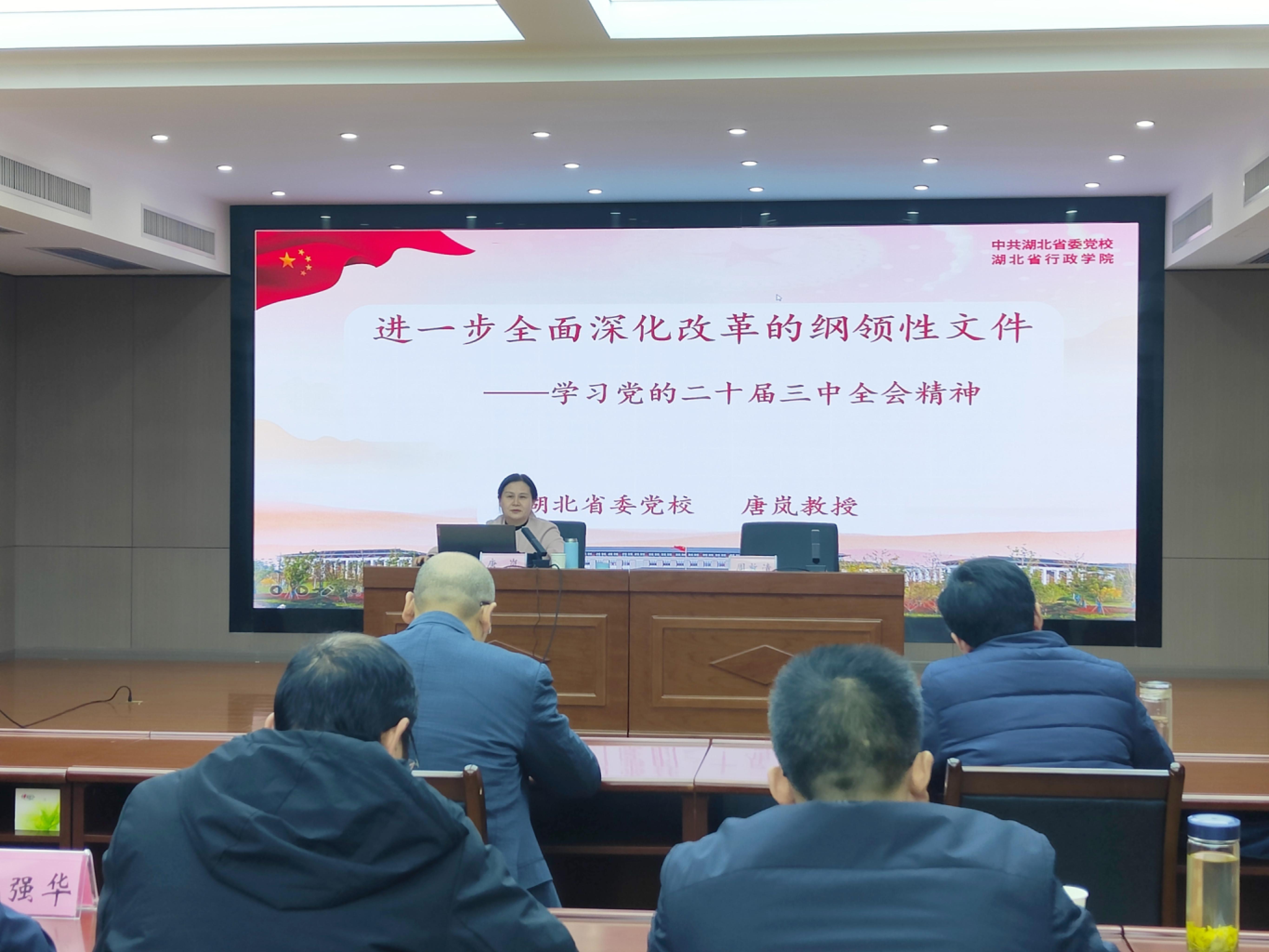 1732262027619023031.jpg 2.jpg