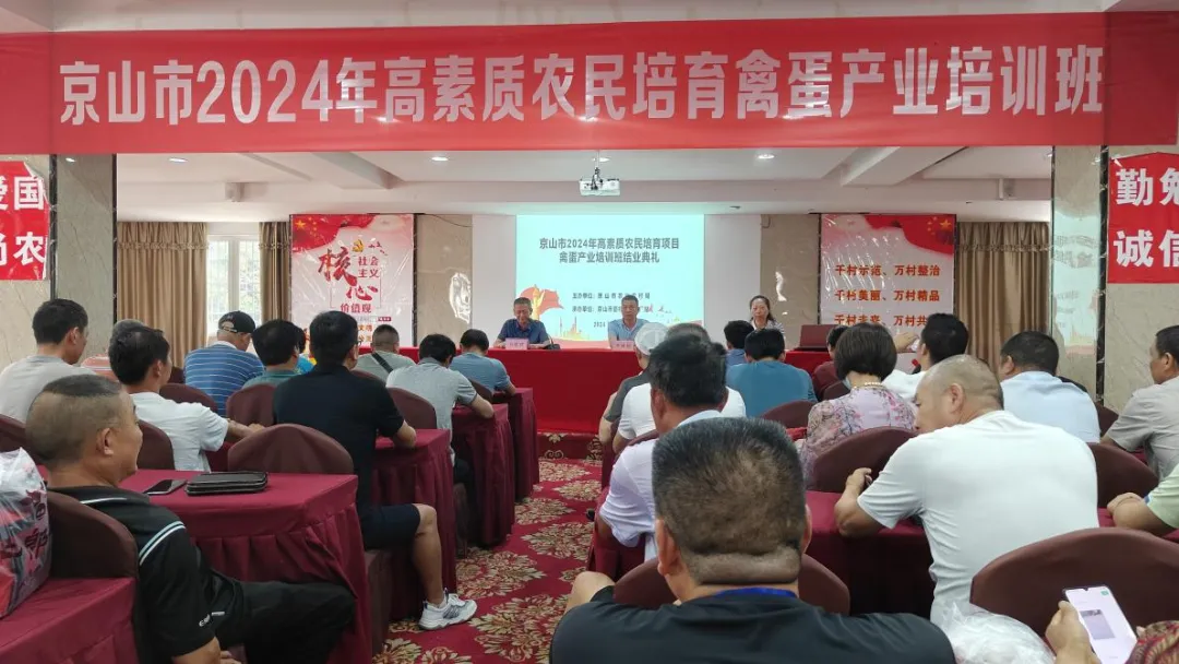 1734571698434017623.png 4238657a85a24c8eb2a341509816749a.png