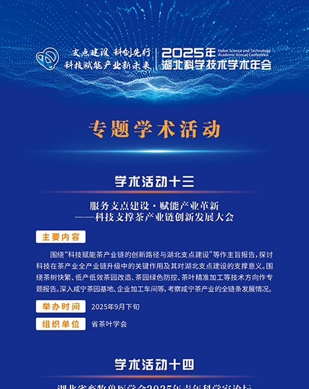 專題學(xué)術(shù)活動(dòng)（五）