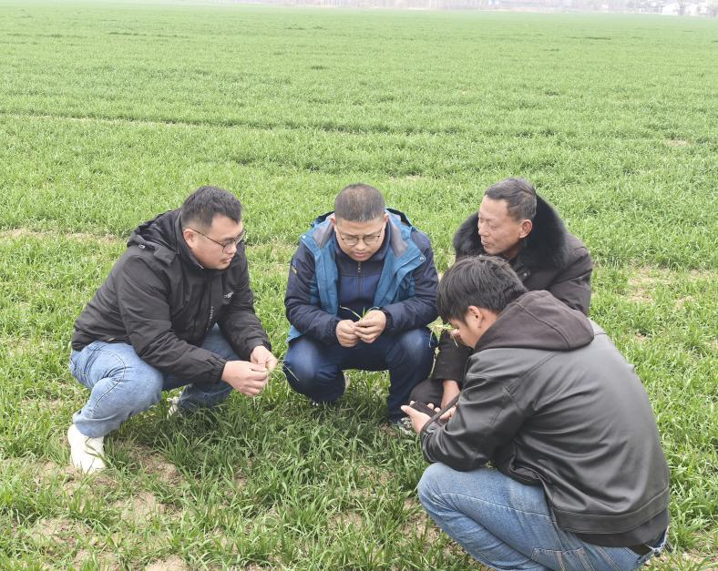 1741338114080077918.png 640.webp.png