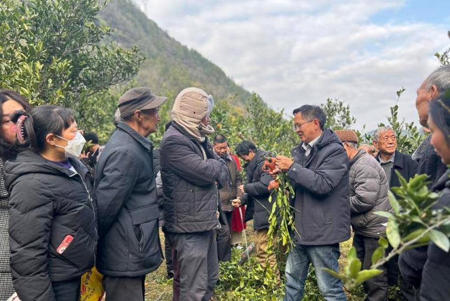 1741923693780008806.jpg 圖片1.jpg