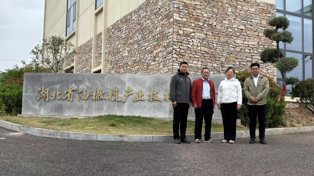 1745547808643097491.jpg 圖片2.jpg