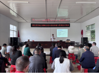 1748935785675071915.jpg 2372343214.jpg