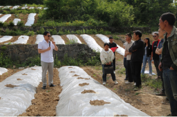 1748935798308015932.jpg 4158187413.jpg