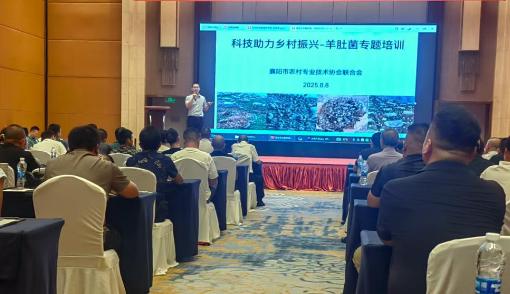 1760152309122053778.jpg 1760152309122053778.jpg