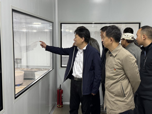 1761897451626089013.png 1761897451626089013.png