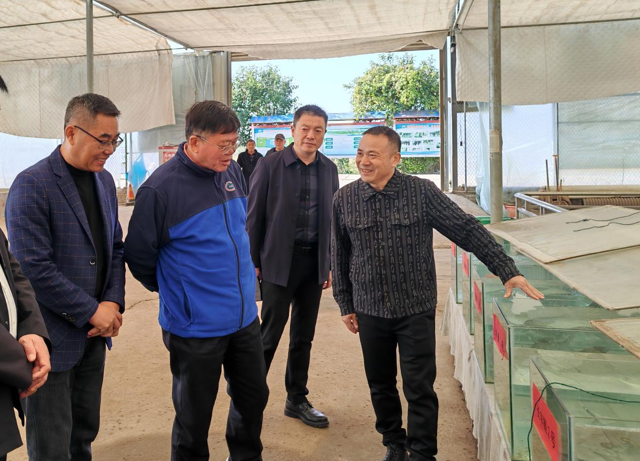 1765270958831066406.png 1765270958831066406.png