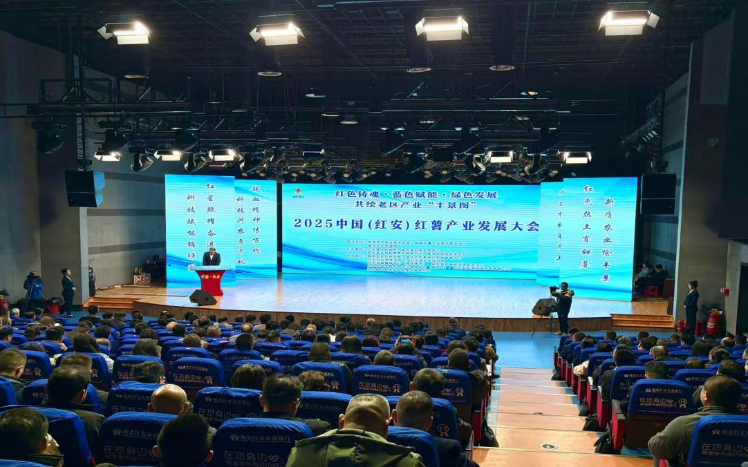 1767151133416066364.png 1767151133416066364.png