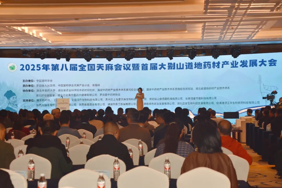 1767151140112021036.png 1767151140112021036.png