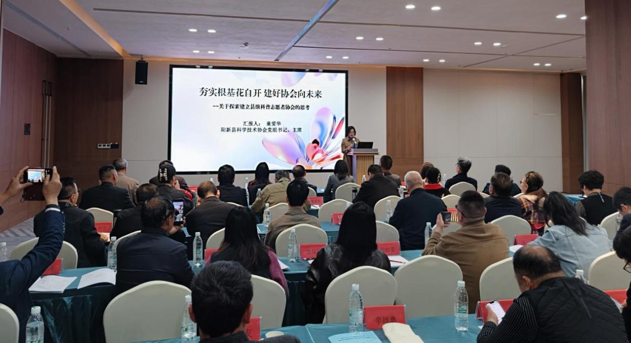 1773368298067068355.jpg 圖片6_副本.jpg