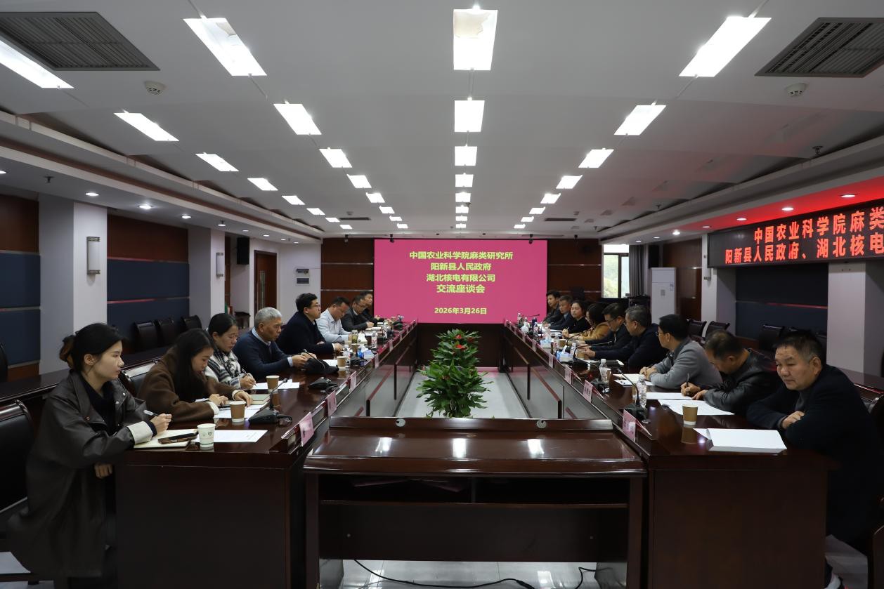 1774596177861005576.jpg 圖片1_副本.jpg